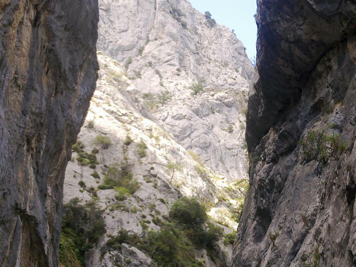 El Sumiciu Pensionat Mieres  Exteriör bild